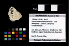 Foto (Objekt + Etikett) von Goniodromites bidentatus (Reuss, 1859)  (NHMW-GEO-1990-0041-2974)